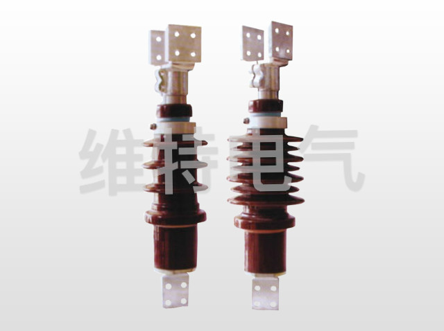 BD(W)-10KV~24KV/4000A~6000A׃�����׹�